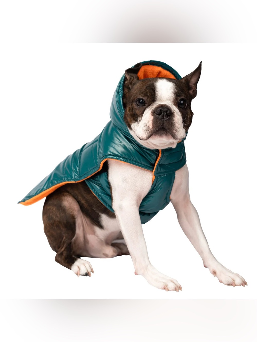 Silver Paw Jackson Dog Jacket